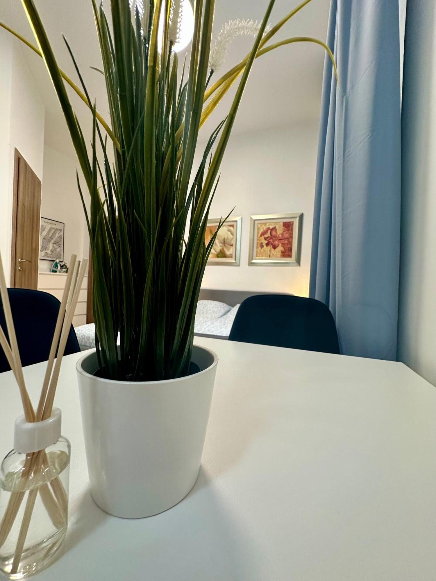 Cozy Centre Apartments Budapeşte Dış mekan fotoğraf
